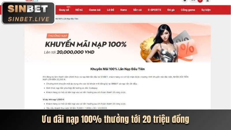 Hoàn trả hàng ngày cho cá cược thể thao và casino trực tuyến